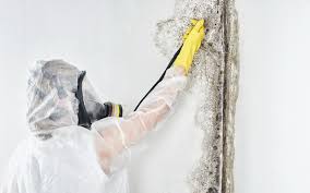 Forensic Mold Investigation in Cutten, CA